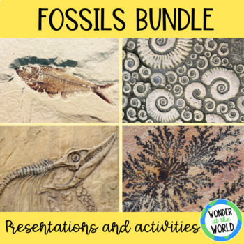 Fossils bundle | Google Slides | Activities by Wonder at the World