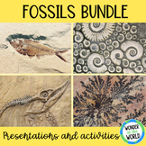 Fossils earth science printable activities and Google Slid