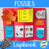 Fossils earth science lapbook project with foldable activities 
