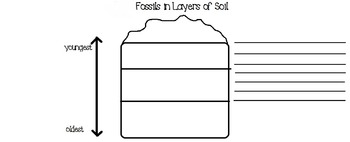 Preview of Fossils in Soil