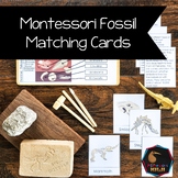 Fossils of different eras 3 part cards