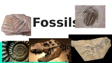 Fossils powerpoint
