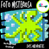 Spanish Months and Days Mystery Picture Digital Resource |