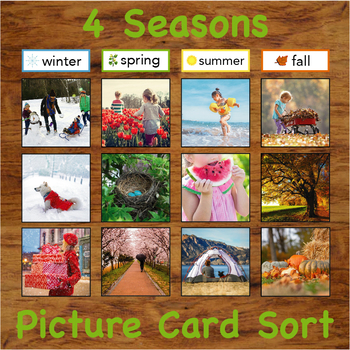 Preview of Four Seasons - Real Picture Sorting Activity Cards w/ Introductory Info Cards