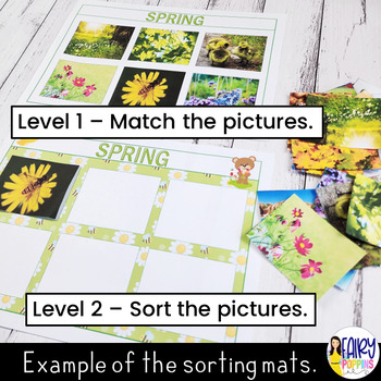 Four Seasons - Charts, Worksheets & Sorting Activities by Fairy Poppins