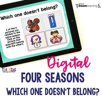 Preview of Four Seasons - Which One Doesn't Belong? Digital Cards