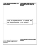 Four Square: Relationship between photosynthesis, food web