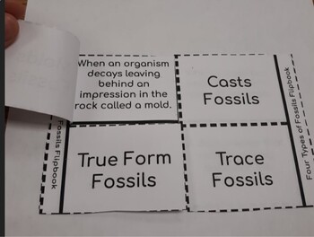 Preview of Four Types of Fossils Flipbook, Cut and Glue, Interactive Notebook