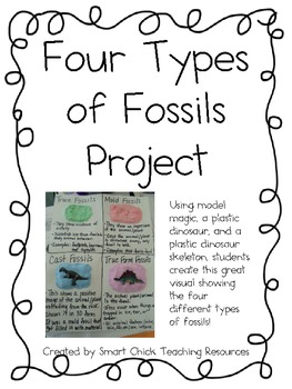 Preview of Four Types of Fossils Project ~ Hands-On Activity with Fossils!