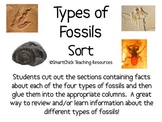 Four Types of Fossils Sort Packet