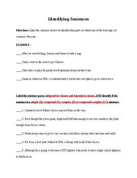 Preview of Four Types of Sentences Activity Worksheet