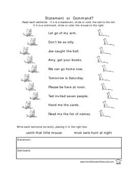 Four Types of Sentences Worksheets by Fran Lafferty | TpT