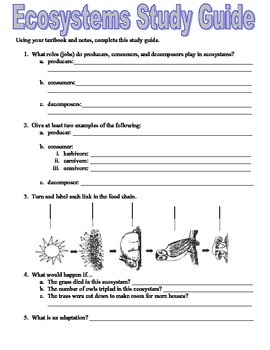 Preview of Fourth Grade Ecosystems Study Guide