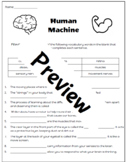 Fourth Grade Mystery Science Assessments - BUNDLED