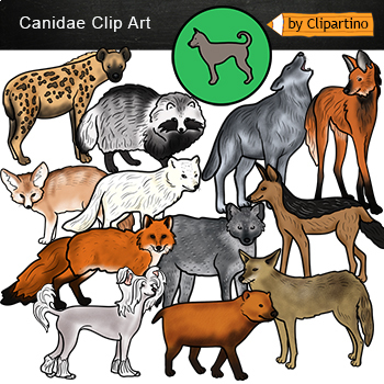 Preview of  Fox types / Types of animals clipart Commercial use