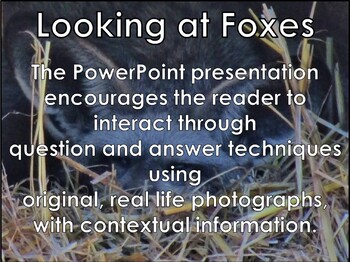 Preview of AFRICAN ANIMALS: Foxes - PowerPoint presentation