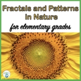 Fractals and Patterns and Shapes in Nature Activity
