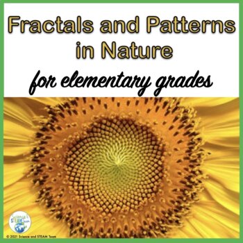 Preview of Fractals and Patterns and Shapes in Nature Activity