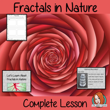 Preview of Fractals in Nature