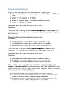 Mutation Lab Worksheets Teaching Resources Teachers Pay Teachers