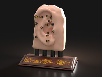 Preview of Frank Talk - Outer Ear (Pinna) 3d model and anatomy sheets