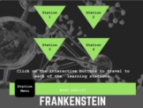 Frankenstein Pre-reading Interactive Learning Stations