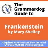 Frankenstein by Mary Shelley - Grammar Quiz