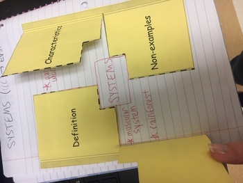 Frayer Model Foldable By From The Desk Of Ms Sweeney TPT