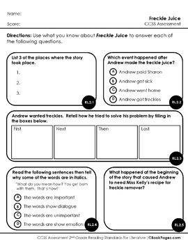freckle juice lesson plan book club format conflictresolution ccss