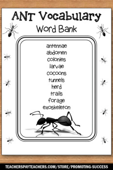 Ants vocabulary