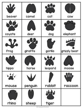 Free Animal Footprint Tracks Visual Perception Science Activities