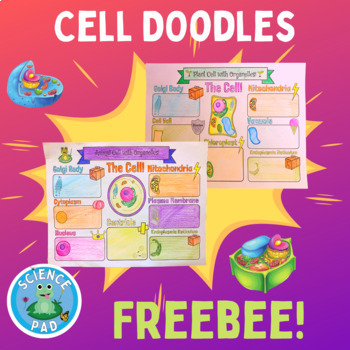 Preview of Free Animal and Plant Cell Labelling Doodle Notes | Coloring Worksheets |