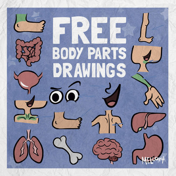 Preview of Free Body Parts Drawings | Clip Art