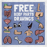 Free Body Parts Drawings | Clip Art