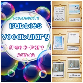 Preview of Free Bubbles Vocabulary 3-Part Montessori Cards