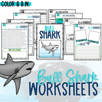 Preview of Free Bull Shark Printable Worksheets
