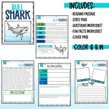 Free Bull Shark Printable Worksheets by Calm and Wave | TPT