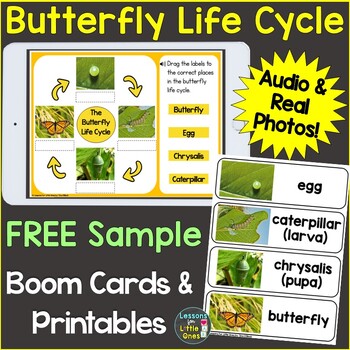 Preview of Free Butterfly Life Cycle Boom Cards Puzzles Poster Vocabulary Real Photographs