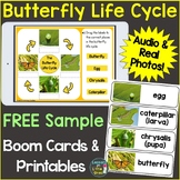 Free Butterfly Life Cycle Boom Cards Sample & Printable Pa