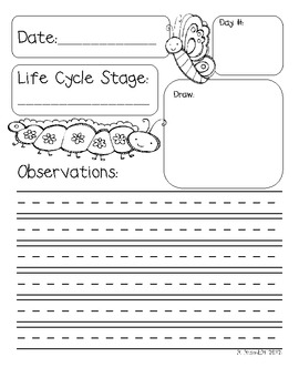 Free Butterfly Life Cycle Journal by Rachelle Rosenblit | TpT