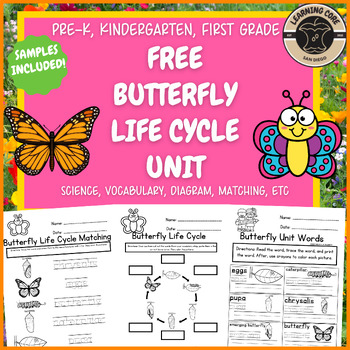 Preview of Free Butterfly Life Cycle Science Worksheets Butterflies PreK Kindergarten First