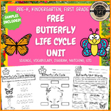 Free Butterfly Life Cycle Science Worksheets Butterflies P