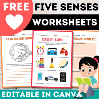Preview of Free Canva Sense Organs Worksheets and Activities