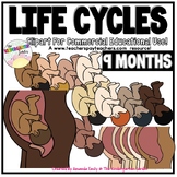 9th Month of Pregnancy clipart
