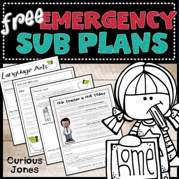 Preview of Free EMERGENCY ELA SUB PLANS - EMAIL & GO