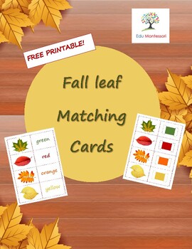Free Fall Leaf Matching Cards by Edu Montessori | TPT