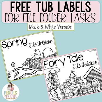 Preview of Tub Labels in Black and White for File Folder Organization