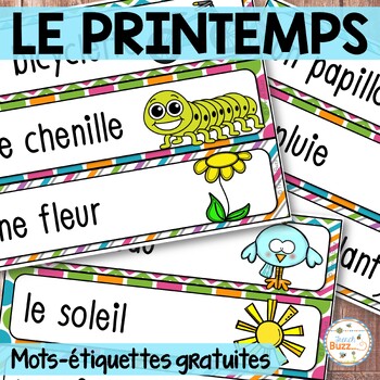 Preview of Free French Spring Vocabulary - Printemps - Vocabulaire Gratuit