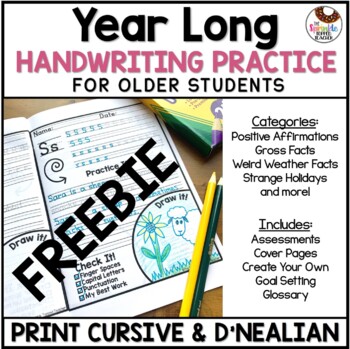 Preview of Free Handwriting Worksheets for Older Student | Cursive Print D'Nealian SAMPLE