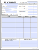 FREE EDITABLE IEP AT A GLANCE